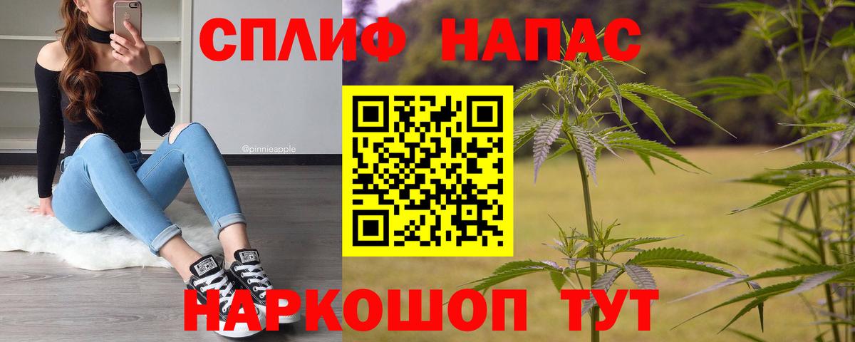 Бошки марихуана планчик Протвино
